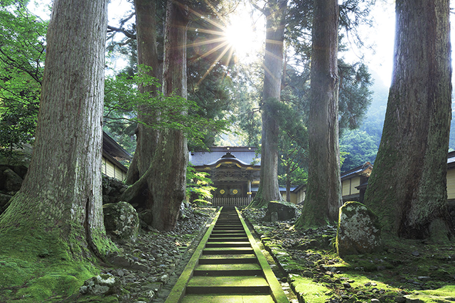 A Journey to be Reborn, Physically and Mentally, through Traditional Food and Experiences