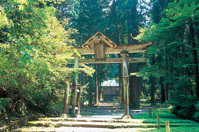 Experience the Traditions Connecting the Past to the Future in Tokyo and Hokuriku