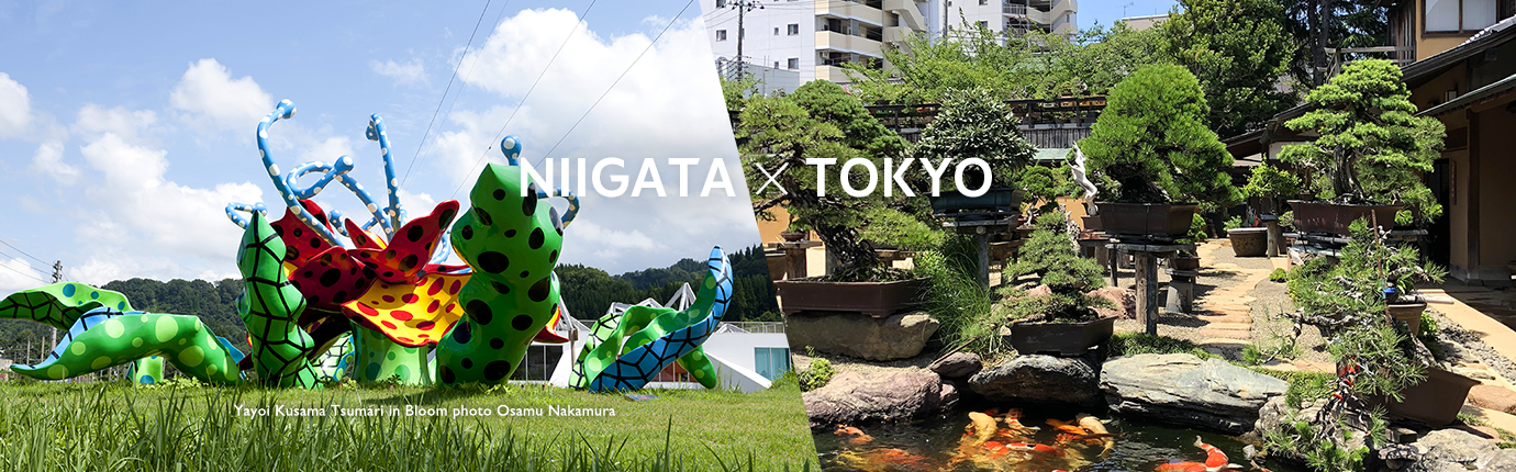 NIIGATA x TOKYO