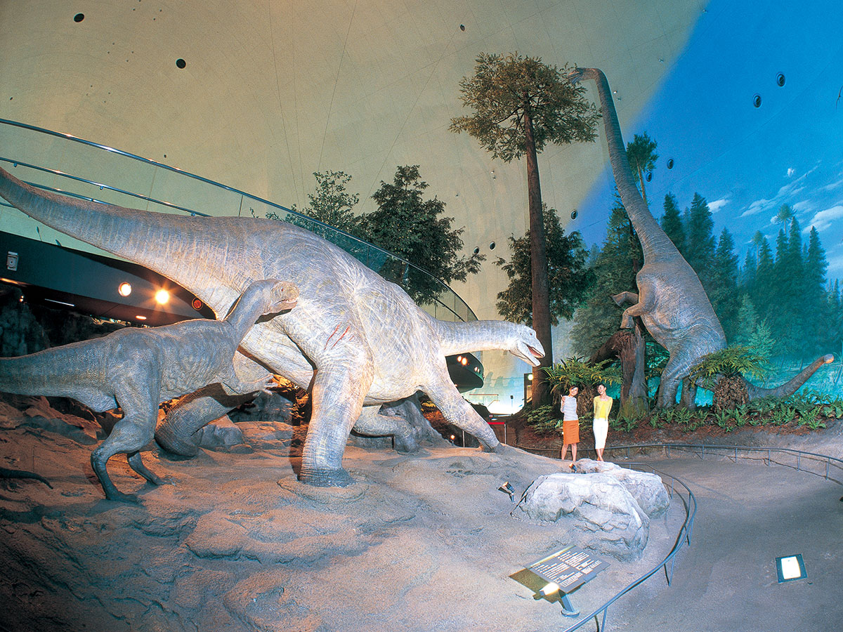 Fukui Prefectural Dinosaur Museum_2