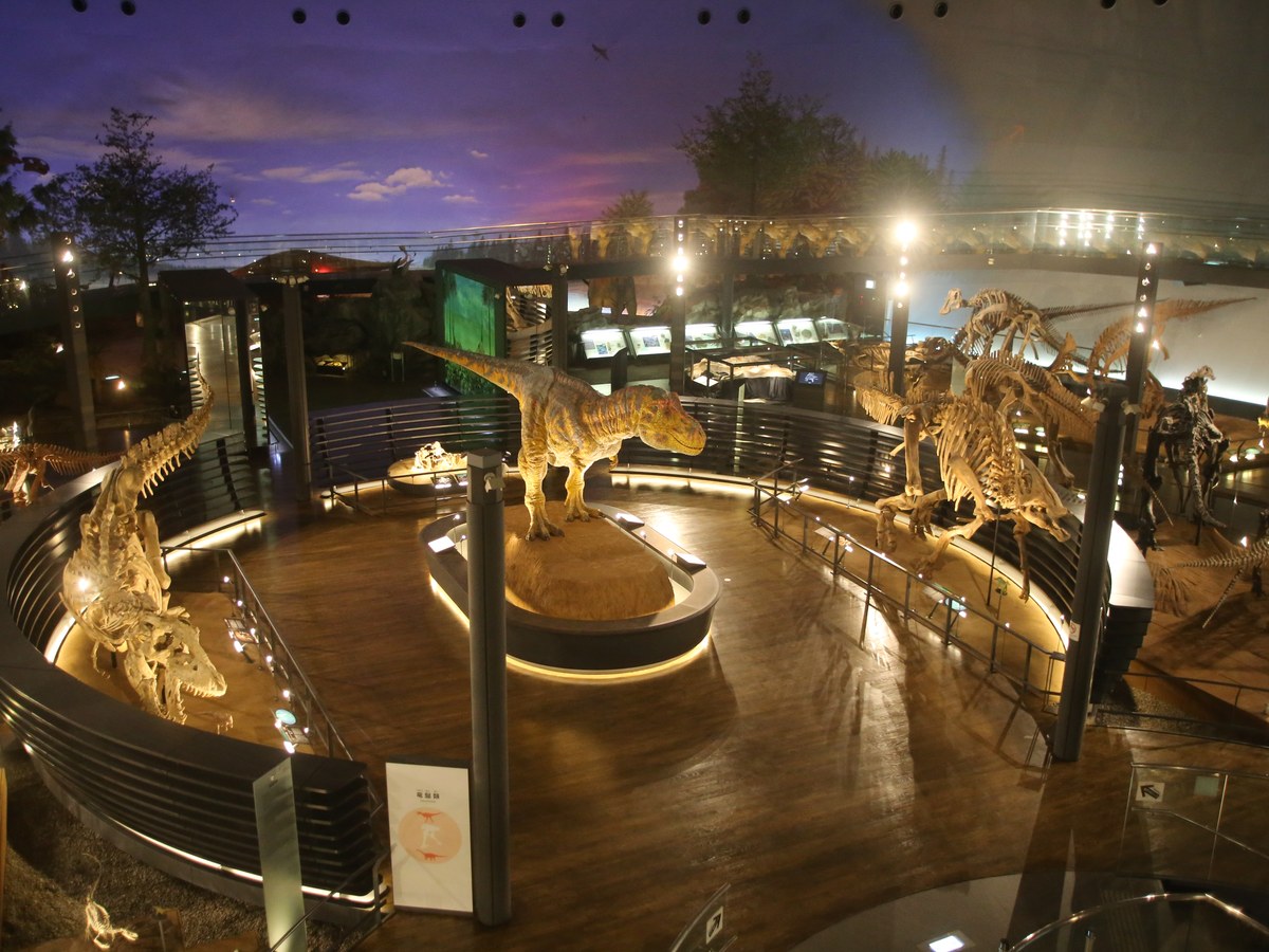Exhibition room 1F Dinosaur World 2