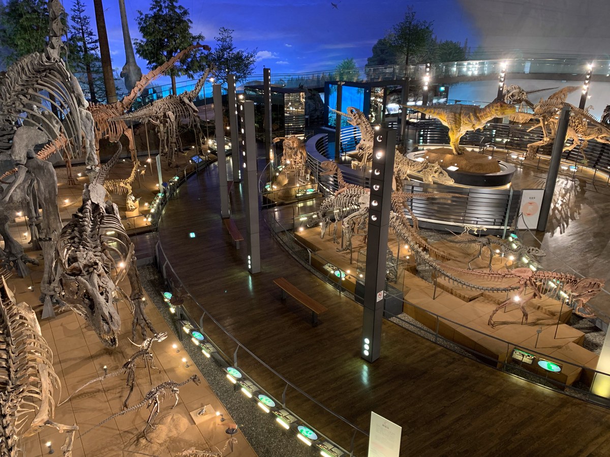 Exhibition room 1F Dinosaur World 4