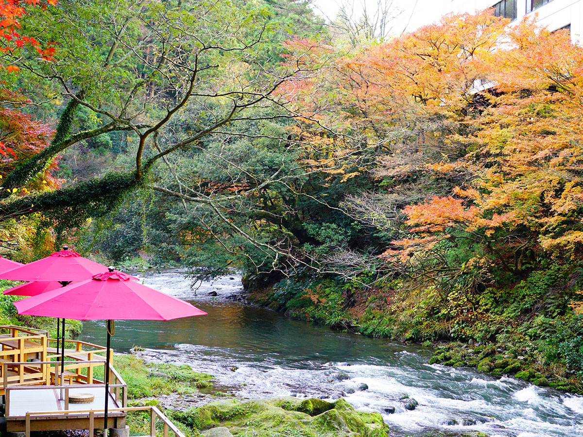 Kakusenkei