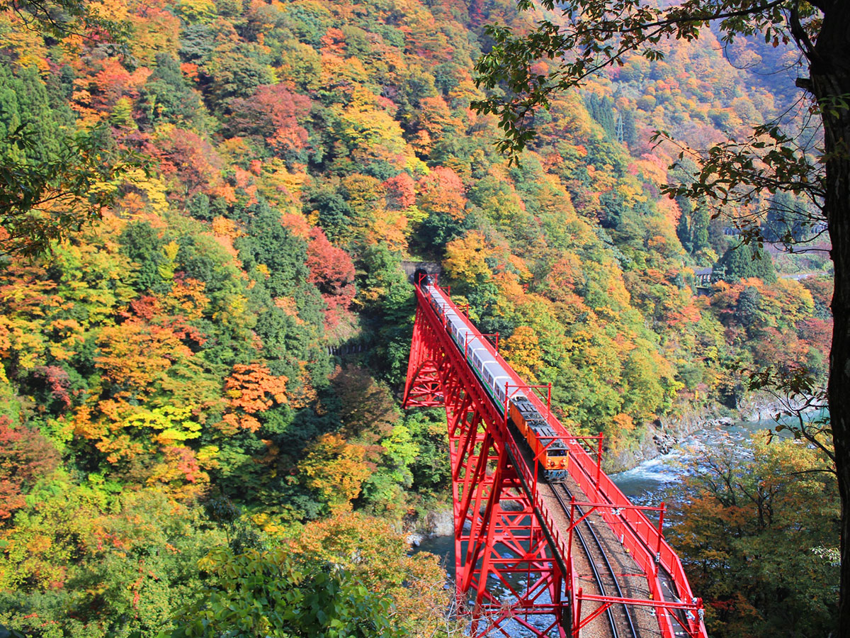 Kurobe Gorge Railway