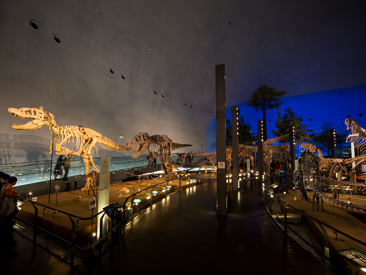 Fukui Prefectural Dinosaur Museum