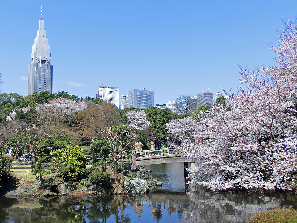 Shinjuku Gyoen National Garden