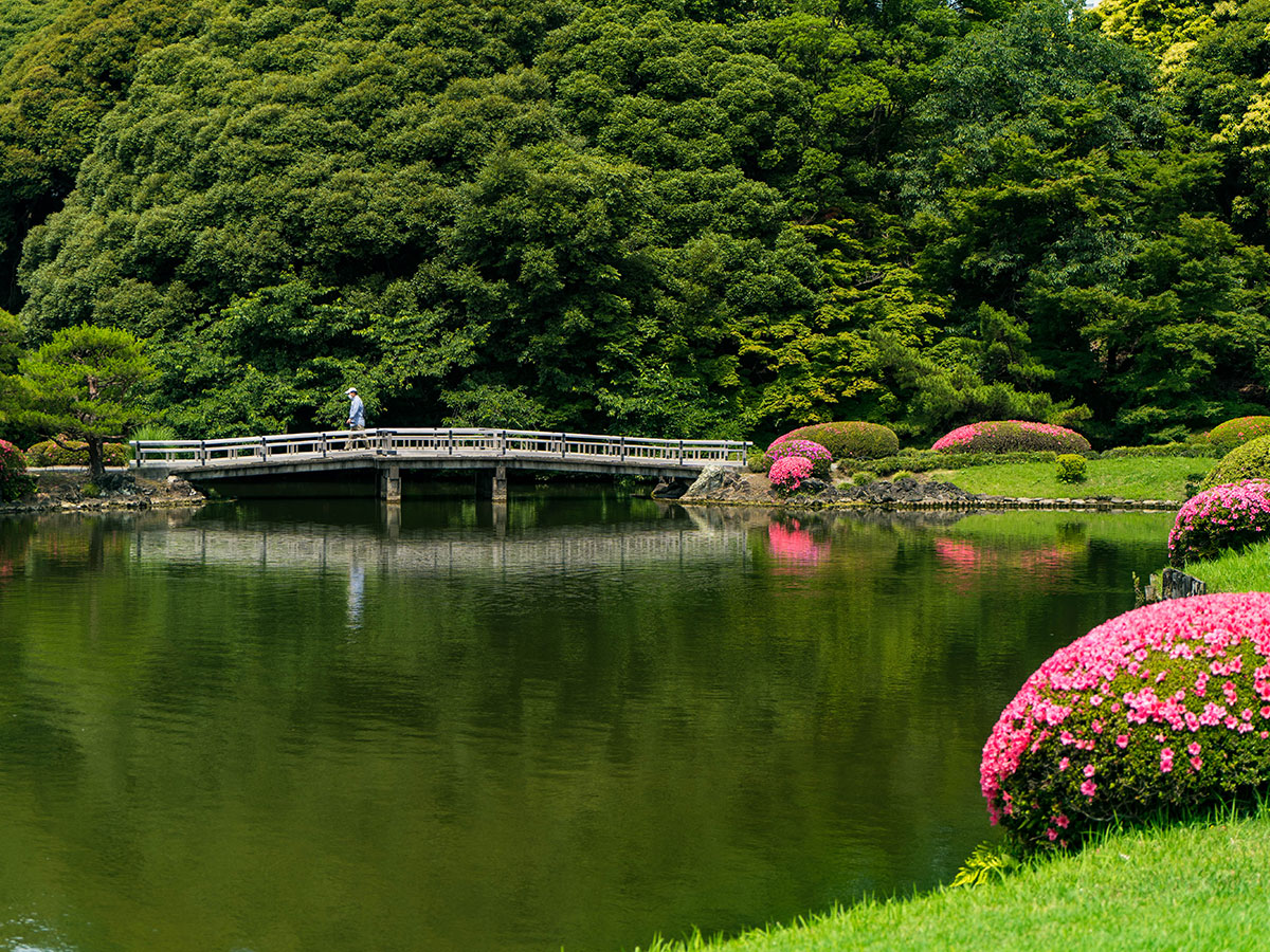 邦楽 garden Shinjuku Gyoen National Garden | HOKURIKU x TOKYO (JAPAN)
