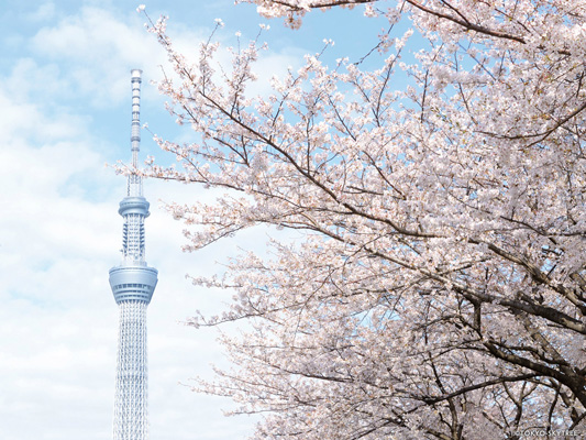 TOKYO SKYTREE_4