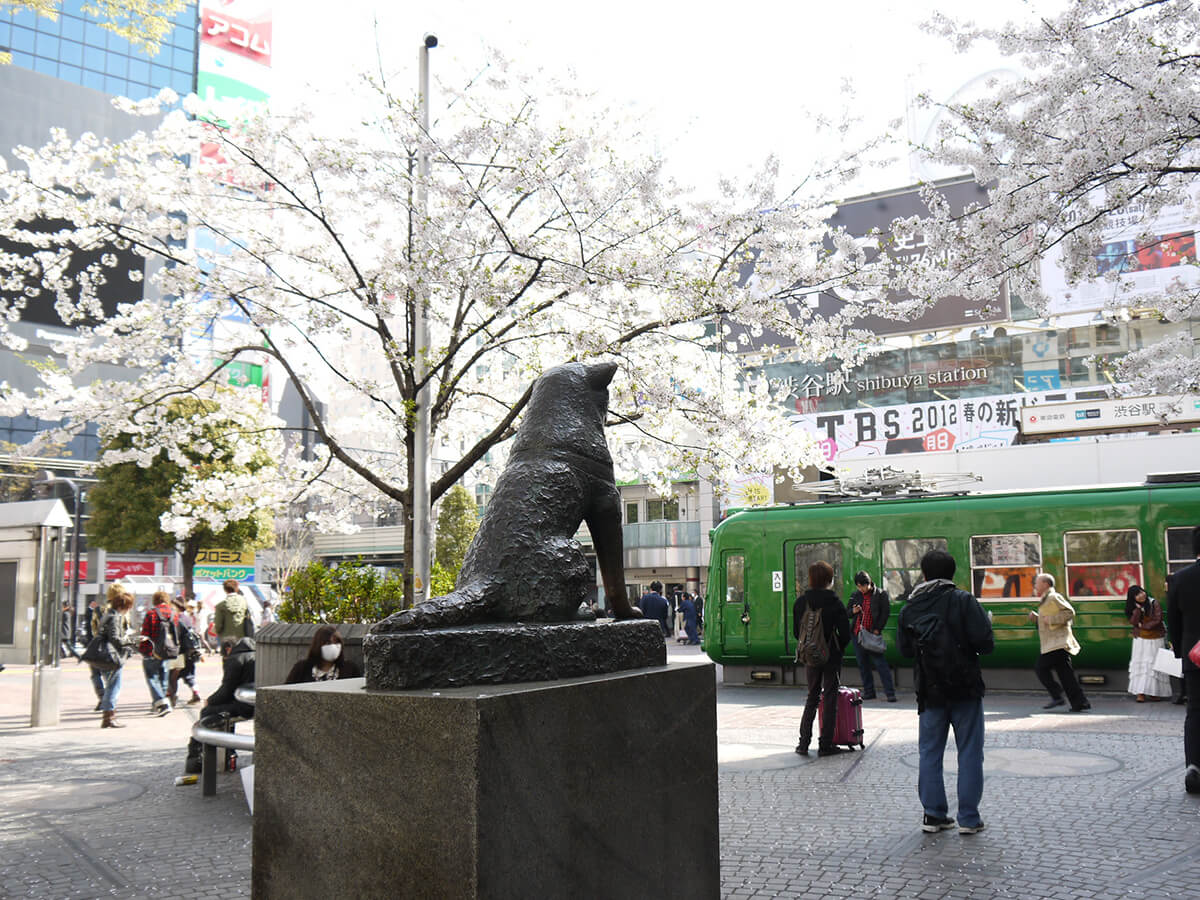 Shibuya_4